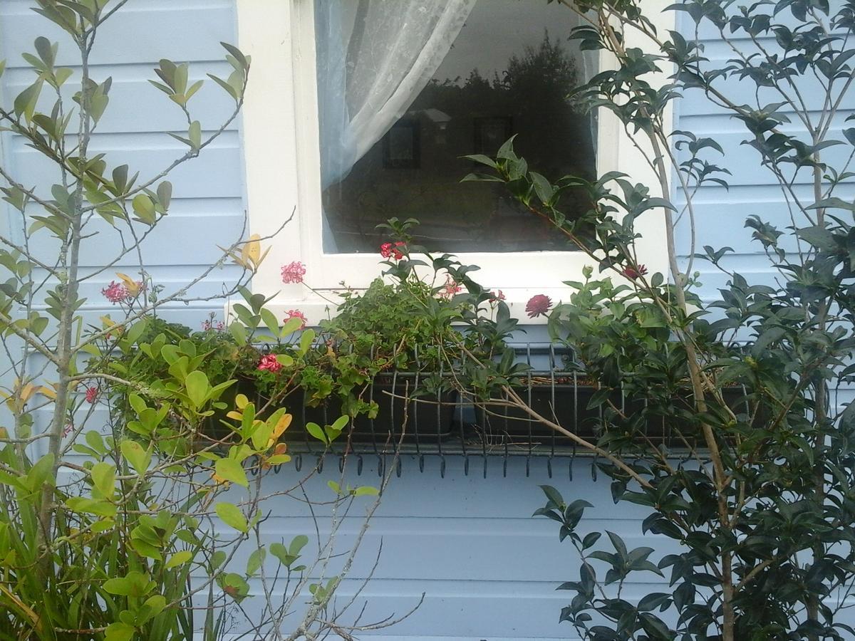 The Old Post Office Guesthouse B&B Paparoa Exteriör bild