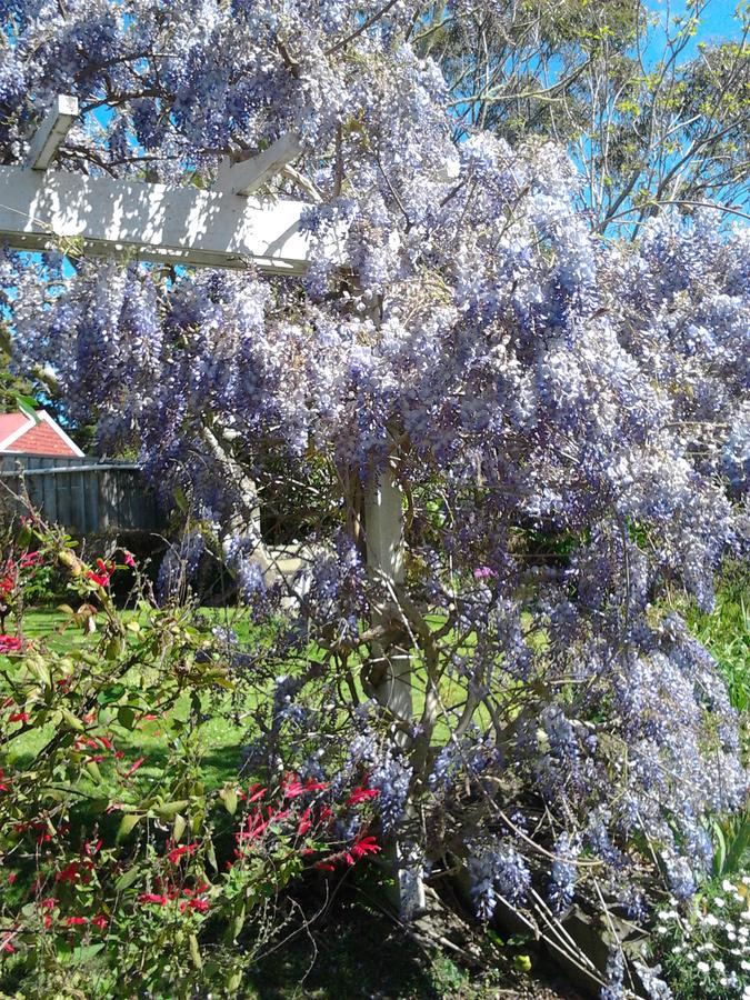 The Old Post Office Guesthouse B&B Paparoa Exteriör bild