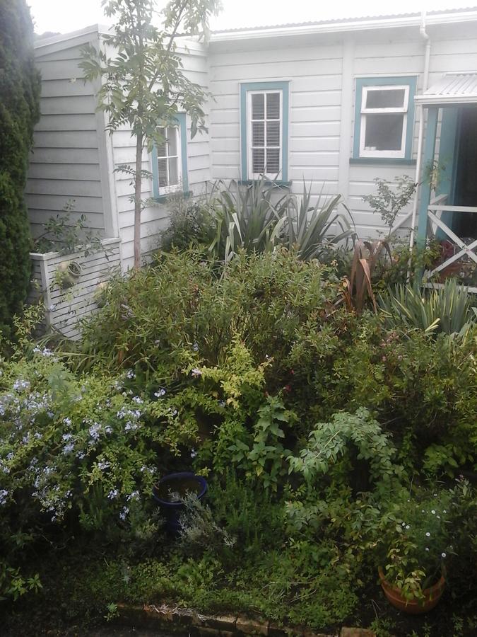 The Old Post Office Guesthouse B&B Paparoa Exteriör bild